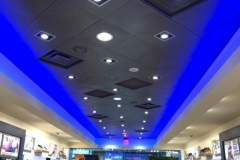 bluelightsstore